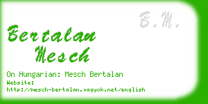 bertalan mesch business card